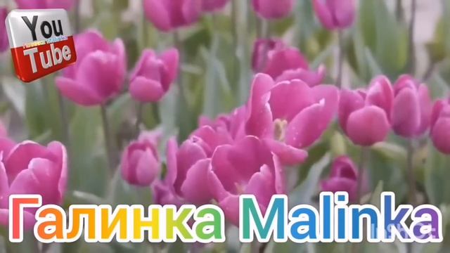 Ольга Уралочка live /Призналась /Новая квартира полное 💩/ Обзор /Уралочка и Сафар