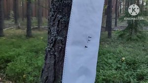 Пристрелка карабина"Тигр" с тепловизором"Лесник335l"