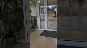 Пансионат Селена 7корпус обзор #анапа #селена #черноеморе #море