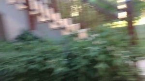 Отель Астерия 2 часть