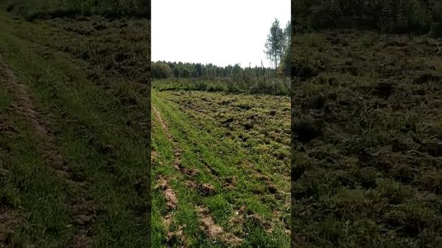 Описание объекта в Ченцах смотреть онлайн