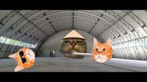 Кіт ти маму мав-Ратататата (премьера клипа)