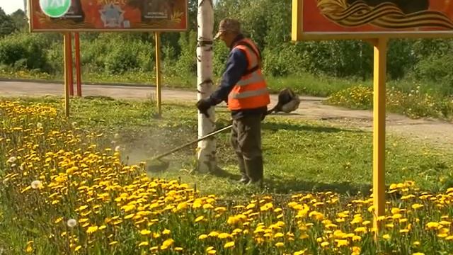 Коммунальные новости смотреть онлайн