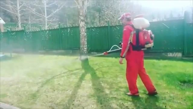 Дезинсекция, дезинфекция помещений в Новосибирске смотреть онлайн