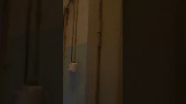 Квартира Шушары, Пушкинская 2