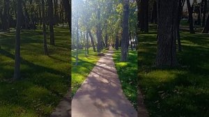 Парк