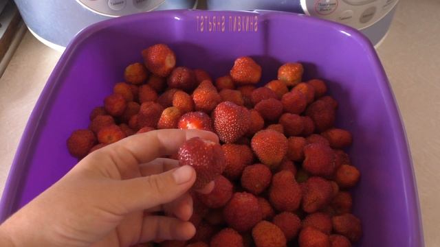 #Земляника/клубника крупноплодная ИЮНЬ с Татьяной Пивкиной