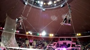 Тройное сальто мортале