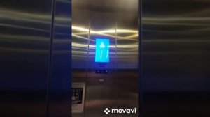 АПАРТАМЕНТЫ В БАТУМИ  Orbi Residence 1135