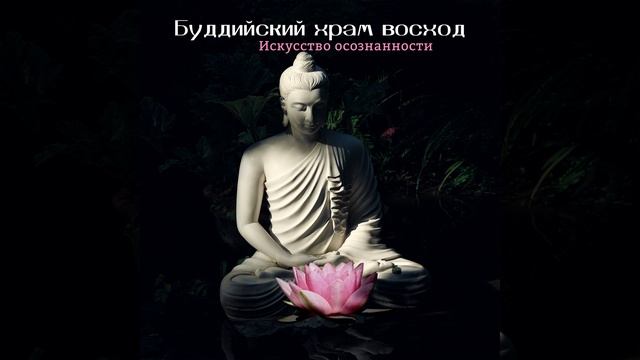 Женщина с претензией дзен