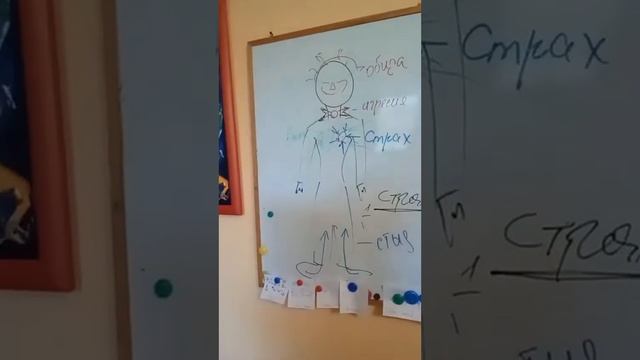 Психосоматика. Разбор практики
