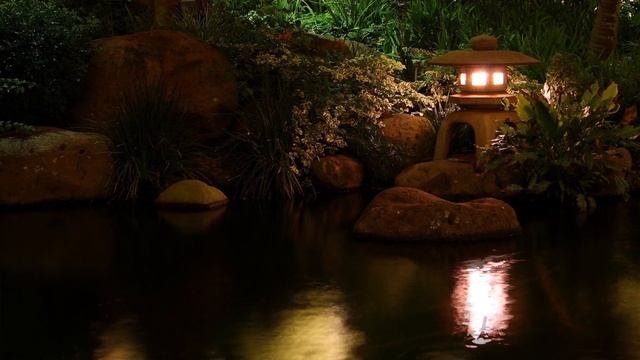 Для глубокого сна. Успокаивает и снимает стресс. Стрекотание сверчков и кваканье лягушек.