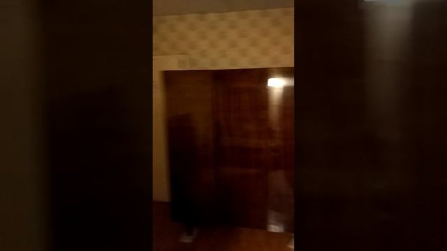 Сдается 3 к.кв. в СПб Тореза пр-кт, 40к2 всего за 21000! смотреть онлайн