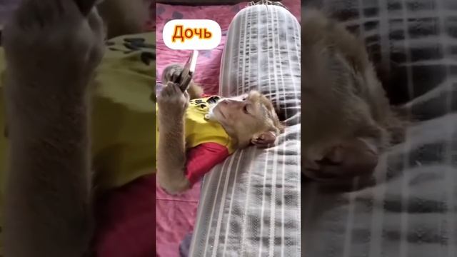 #школа #школьник #мама #мамаподростка #юмор #юмористическийконтент