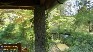 Купить дом в Сербии | Суботица | Недвижимость в Суботице | Сербия | Сербия недвижимость | Subotica