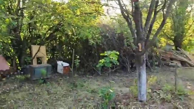 Строим дом . Алексей Фролов. Просто жизнь . Недвижимость в Крыму. Строительство домов