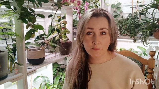 принимаю цветочную эстафету