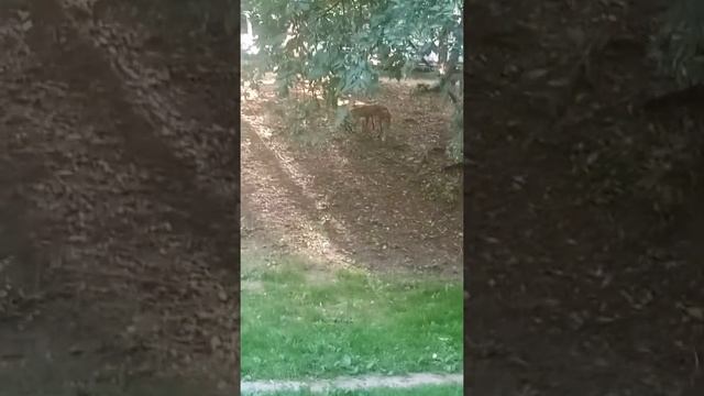 Города Москва районе Зябликово ходить 🦊 смотреть онлайн