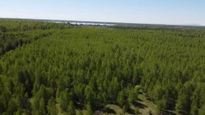 Новая Григорьевка, Каслинский р-н, Челябинская обл. земельный участок ИЖС 28,2 Га