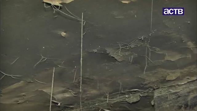 77-летней пенсионерке пообещали квартиру, но оказалось, речь шла о комнате без кухни и ванной смотреть онлайн