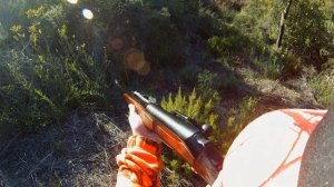 Browning Maral 9.3 62 Aleria