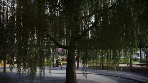 ЖК "Фотограф" от компании Мавис