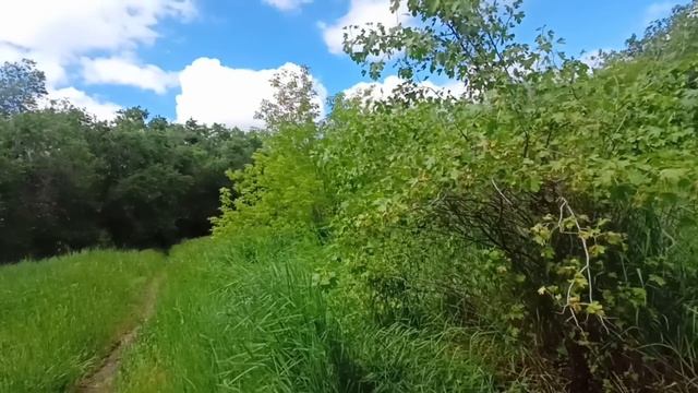 Сын простой уборщицы, спас дочь миллиардера. Когда он пришел выразить благодарность, мать парня смотреть онлайн