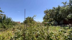 Дом ПРОДАН на Юге/ цена 4,5 млн.р/ ст. Ладожская Краснодарский край