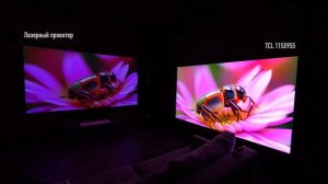 Самый офигеть какой большой QD-Mini LED телевизор в мире - 115X955!