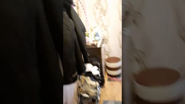 рижский 37 псков , продажа . смотреть онлайн