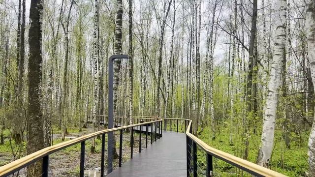 Свекровь плюнула в мой плов во время застолья, сказав такое есть нельзя. смотреть онлайн