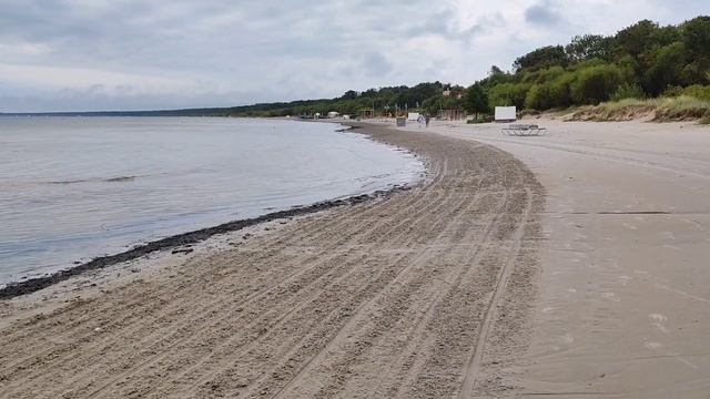 Сравниваем Цены в 3 магазинах Где дешевле? Просьба к Зрителям Мой спорт #рекомендации #latvia #цены