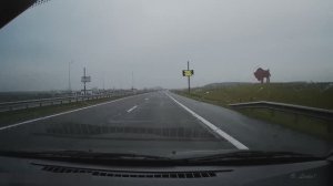 Зубр, статуя на Минке. Минск-Брест. Беларусь.