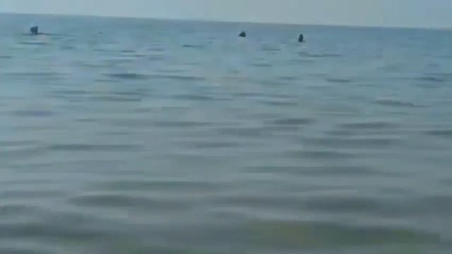 Счастливцево,центральный пляж,28 июня 2024.