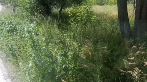 Терпение лопнуло! Я устала от родственников мужа. В квартиру больше никого не пущу!" - сказала жена