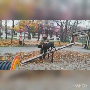 кане-корсо занятия на площадке для собак