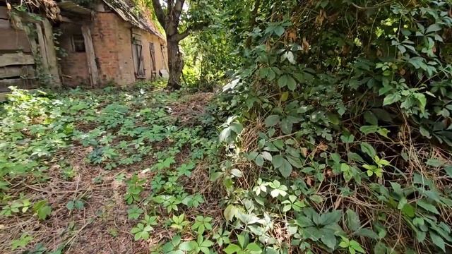 Земельный участок ст. Еремизино-Борисовская. Цена: 200.000. тел: 8-909-454-85-00 смотреть онлайн