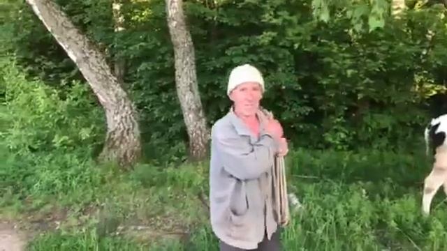 Велеми смотреть онлайн