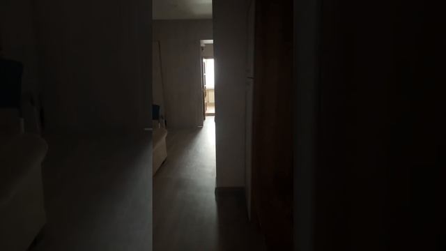 Проверка авито смотреть онлайн