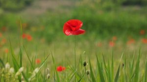 Жена застыла на месте, когда богатый муж привёл в дом любовницу  И тогда Ирина решила проучить