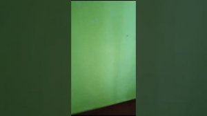 🏠ПРОДАЕТСЯ ДОМ В ХУТОРЕ "ПРОТИЧКА" КРАСНОАРМЕЙСКИЙ РАЙОН🏘