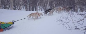 Время Бежать, Камчатский край