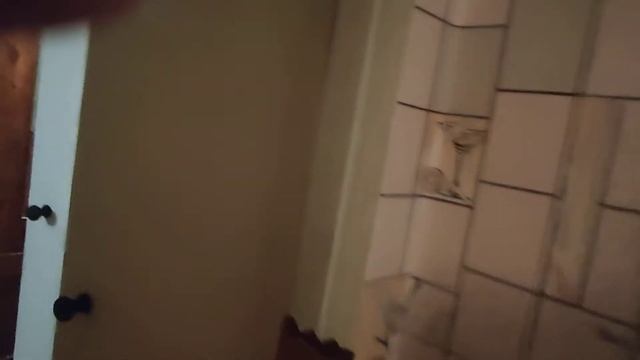 сдается 2ая квартира на медицинской 16. за 13000руб. тел. 89614390879 Ростов-на-Дону смотреть онлайн