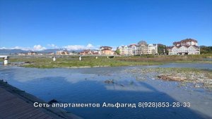 Адлер ул.Кирова д.28А кв.38 Сеть апартаментов "Альфагид"