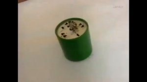 Эффект наблюдателя. эксперимент с цыплёнка Рене Пиош.