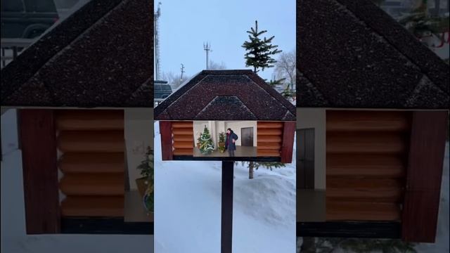 Доступная ипотека каждому или какую недвижимость купить в России #недвижимость #скетч #приколы смотреть онлайн