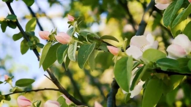 Муж ошарашил жену новостью, она внимательно выслушала и сказала...
