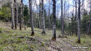 Присмотрев сыну жену-иностранку, богатая свекровь прогнала невестку взашей… А едва из деревни...