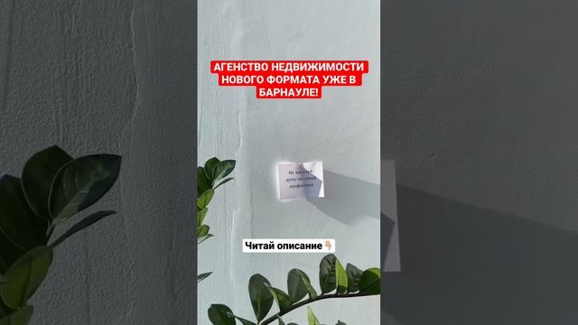 Коворкинг + обучающий центр для риэлторов Барнаула! Подробности в описании канала💚#недвижимость смотреть онлайн