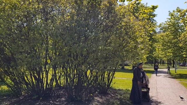 Парк Академика Сахарова смотреть онлайн